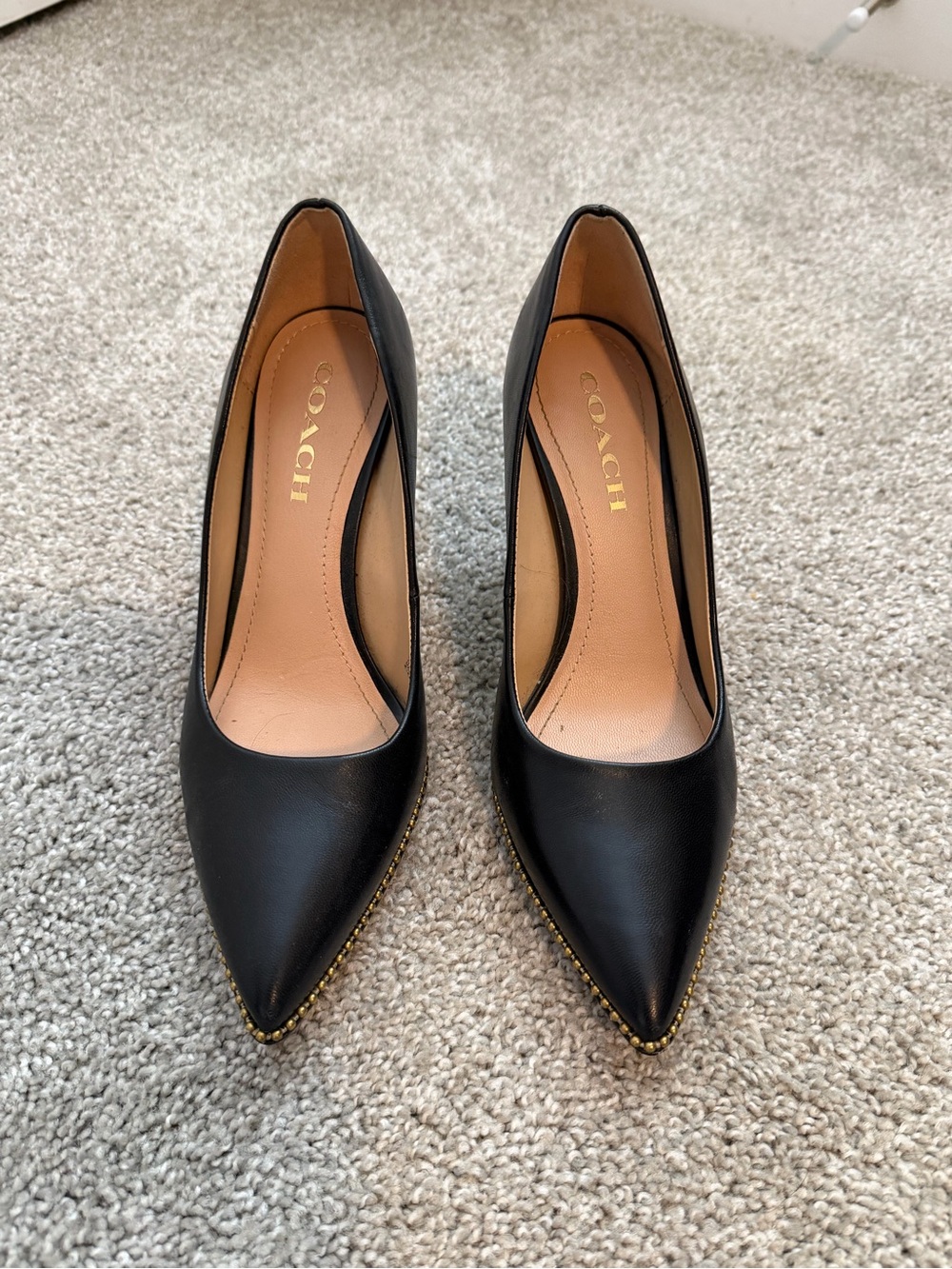 COACH Waverly Leather Pointed-Toe Pumps
